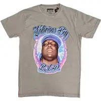 Ginza.se Biggie Smalls: Unisex T-Shirt/RIP Airbrush (Grey) (Large)