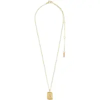 Pilgrim Halsband 'Zodiac Sign Aquarius' guld