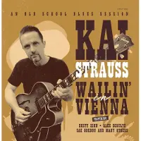 Ginza.se Strauss Kai: Wailin' in Vienna