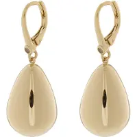 DKNY Örhängen guld / transparent