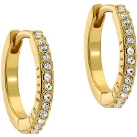 Ted Baker Örhängen guld / transparent