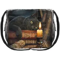 Nemesis Now Lisa Parker Messenger Bag Witching Hour