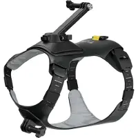 Insta360 Sele För Husdjur Storlek M