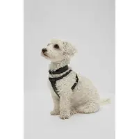 BOSS Dog harness in recycled leather