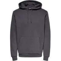 Only & Sons Sweatshirt 'ONSCeres' mörkgrå