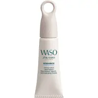 Shiseido Tinted treatment