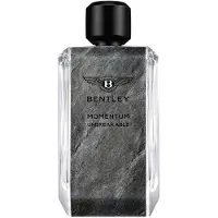 Bentley Momentum Unbreakable Eau de Parfum 100ml