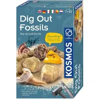 Kosmos Dig Out Fossils Experimentlåda STEM Kosmos (Nordic)