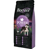 Booster Power