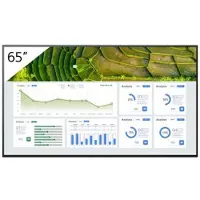 Sony FW-65BZ30L, Platt skärm för digital skyltning, 165,1 cm (65), LCD, 3840 x 2160 pixlar, Wi-Fi, 24/7
