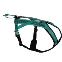 Non-Stop Dogwear Rush harness Teal