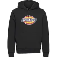 Dickies Icon Logo Tröja Med Huva