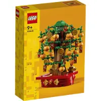 LEGO Pengaträd Konstruktionsspel