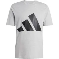 Adidas Essentials Big Logo T-shirt Med Korta ärmar