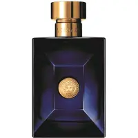 Versace Dylan Blue Eau De Toilette 100ml Parfym