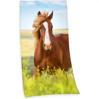 Herding Bad-/hushållshandduk för häst 75x150 cm - 100% bomull