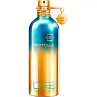 Montale Paris So Iris Intense edp 100ml