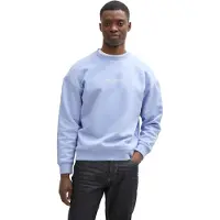 Tom Tailor DENIM Sweatshirt ljusblå / vit