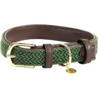 Kentucky Nylon Plaited Hundhalsband