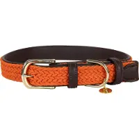 Kentucky Nylon Plaited Hundhalsband
