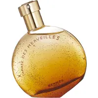 Hermès Paris Hermès L'ambre Des Merveilles Eau de Parfum 50ml