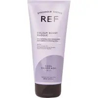 Ref Colour Boost Masque - Cool Silver Ash 200 ml - Ash Brown