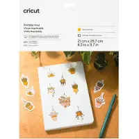 Cricut - Guld - A4 (210 x 297 mm) 10 ark hängande förpackning - vinyl