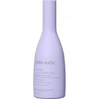 Björn Axen Cool Blonde Coloring Silver Shampoo 250ml