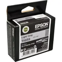 Epson C13t46s900 Bläckpatron