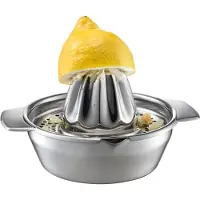GEFU LEMON, Rostfritt stål, Rostfritt stål, 1 styck, 137 mm, 169 mm