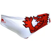 Turbo Wales Dragon Badbyxor