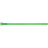 Black Diamond Ski Strap Envy Green