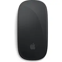 Apple Magic Mouse - Mus - multi-touch - trådlös - Bluetooth - svart
