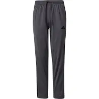 Adidas Sportbyxa grå / svart