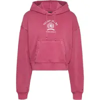 Tommy Hilfiger Dw0dw20311 Huvtröja