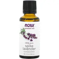 Now , Essential Oiler, Spike Lavendel, 1 fl oz (30 ml)