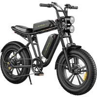 ENGWE M20 2*13Ah Batterier 20*4,0 tum Däck 750W Borstlös motor 45km/h Maxhastighet Fram & Bak Skivbromsar m20 dual battery grön