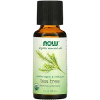 Now , Ekologisk Essentiell Olja, Tea Tree, 1 fl oz (30 ml)