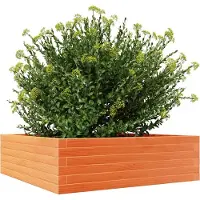 vidaXL Odlingslåda vaxbrun 80x80x23 cm massiv furu