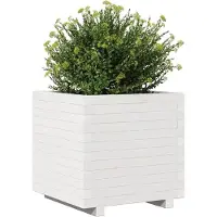 vidaXL Blomlåda vit 50x50x49,5 cm massivt furu, utomhus blomlåda, blomkruka, växtlåda, blomlåda 847354