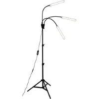 Airam Växtbelysning Palm 24W/940 1130 lm