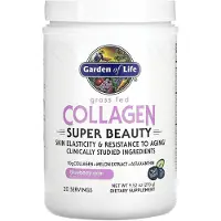 Elämän puutarha,Garden of Life,Garden of Life,Livets Have,Livets Have Kollagen från betesdjur, Super skönhet, Blåbär Acai, 270G(9.52Oz)