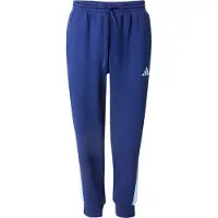 Adidas Seasonal Essentials Colorblock Byxor