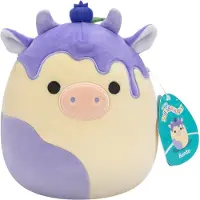 Squishmallows Benito Nallebjörn Blandad