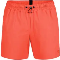 Arena Evo Beach Solid Simshorts