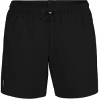 Arena Badshorts 'EVO' svart