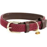 Kentucky Nylon Plaited Hundhalsband