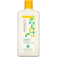 Andalou Naturals , Shampoo, Brilliant Shine, För Styrka och Vitalitet, Solros & Citron, 11.5 fl oz (340 ml)