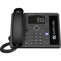 Audiocodes C435HD - VoIP-telefon med nummerpresentation - RTCP, RTP, SRTP