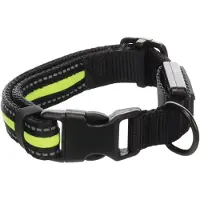 Flamingo Flitzy Hundhalsband